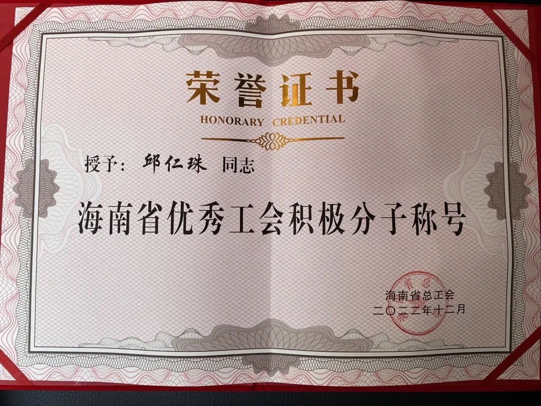 表彰！集团一人获海南省总工会颁发的荣誉(图4)